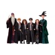 Muñeco Harry Potter - Profesora McGonagall