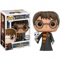 Figura Pop! Harry Potter con Hedwig