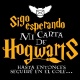 Sudadera Harry Potter "Carta"