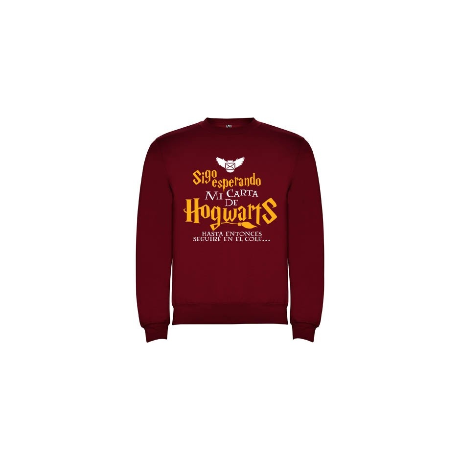 Sudadera Harry Potter "Carta"