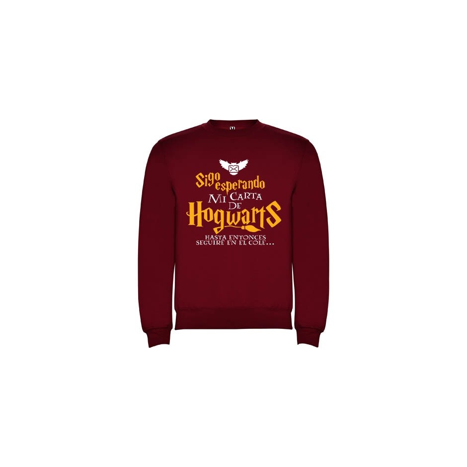 Sudadera niño harry potter "carta"