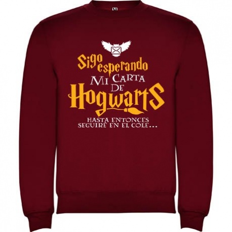 Sudadera niño harry potter carta