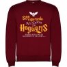 Sudadera Harry Potter "Carta"