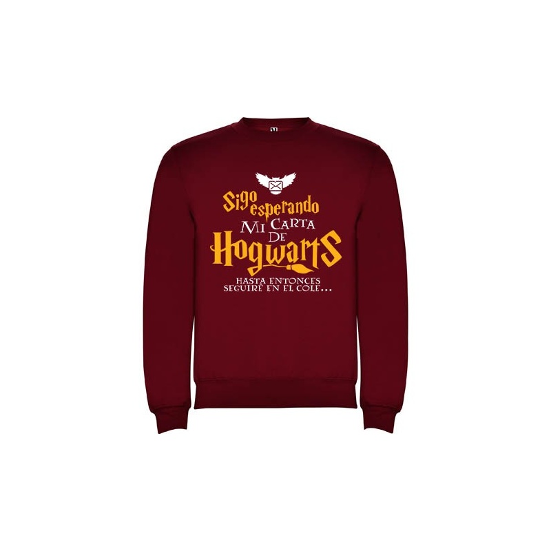 Sudadera Harry Potter