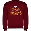 Sudadera Unisex Harry Potter "Carta"