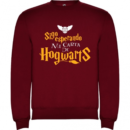 Sudadera Harry Potter "Carta"