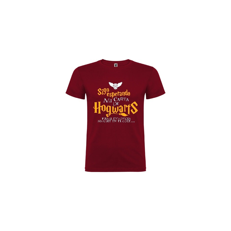 Camiseta manga corta Harry Potter "Carta"