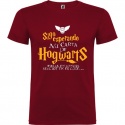 Camiseta manga corta Harry Potter "Carta"