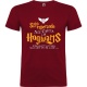 Camiseta Harry Potter "Carta"