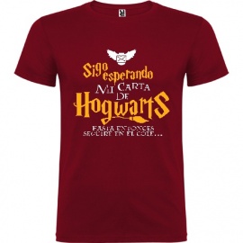 Camiseta manga corta Harry Potter "Carta"