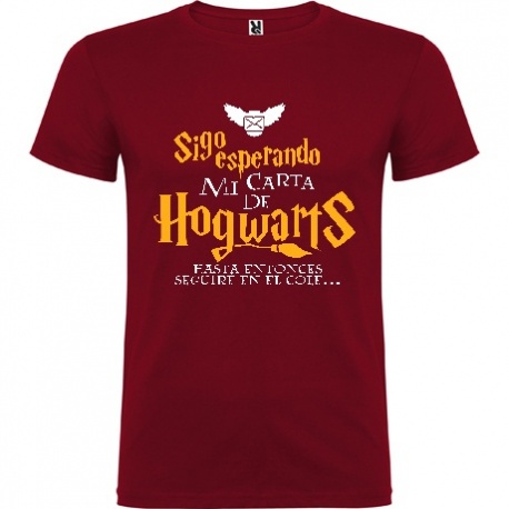 Camiseta Harry Potter "Carta"
