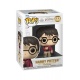 Figura Pop! Harry Potter Harry w/The Stone