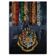 Manta polar Hogwarts Harry Potter