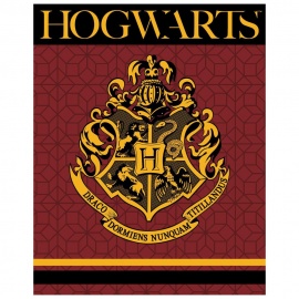 Manta de Harry Potter Hogwarts. Unisex